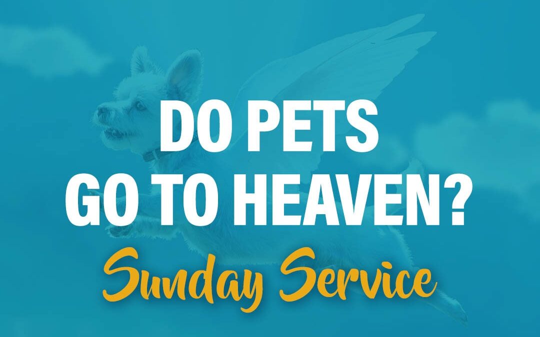 Do Pets go to Heaven?